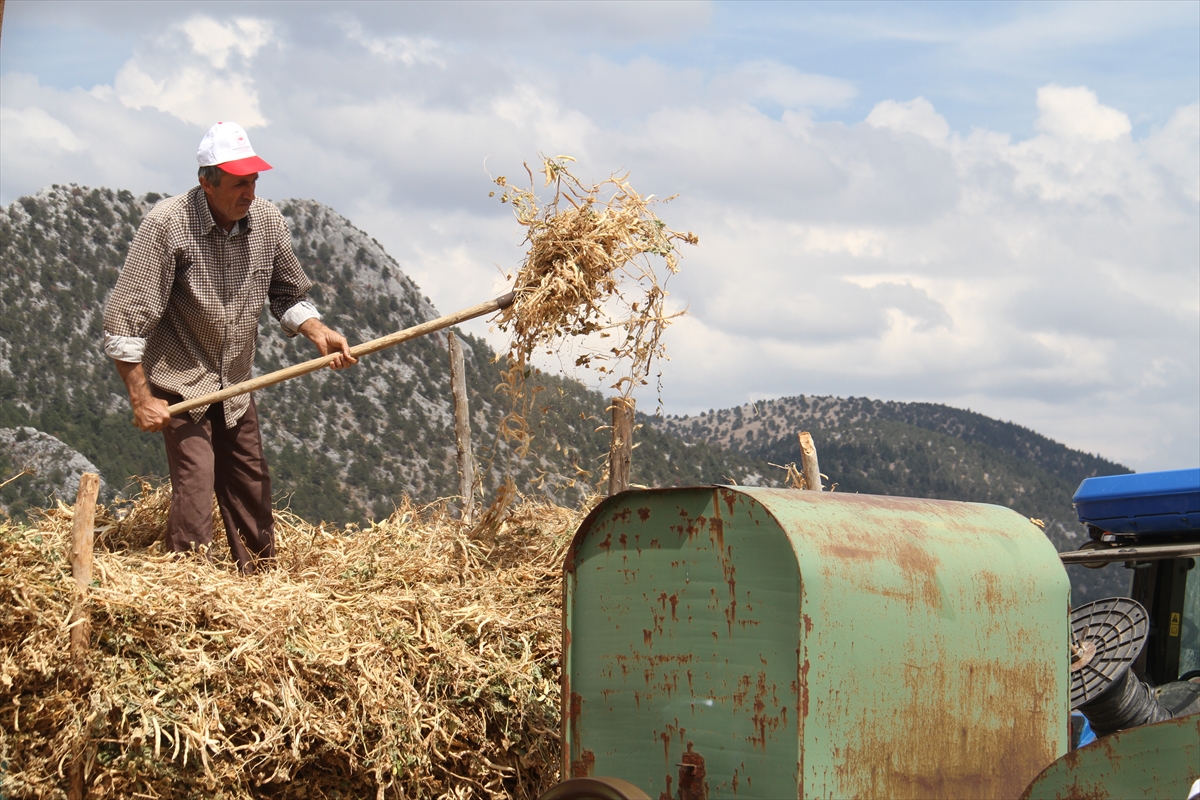 tahil-ambari-konya-kuru-fasulye-uretiminde-de-iddiali-4.jpg