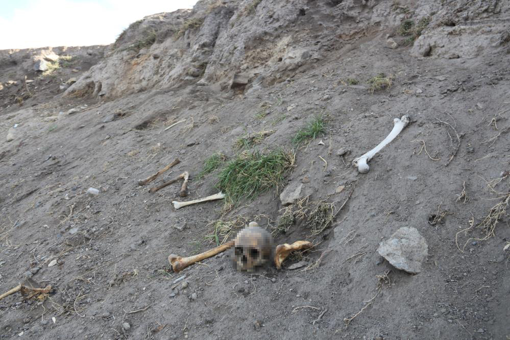 kazma-ya-da-kurek-degmedi-her-yerden-kafatasi-ve-kemik-fiskiriyor-002.jpg