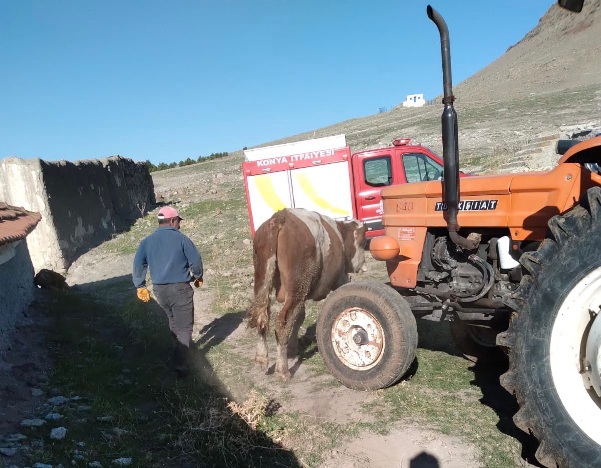 konyada-2-metrelik-cukura-dusen-bogayi-itfaiye-kurtardi.jpeg