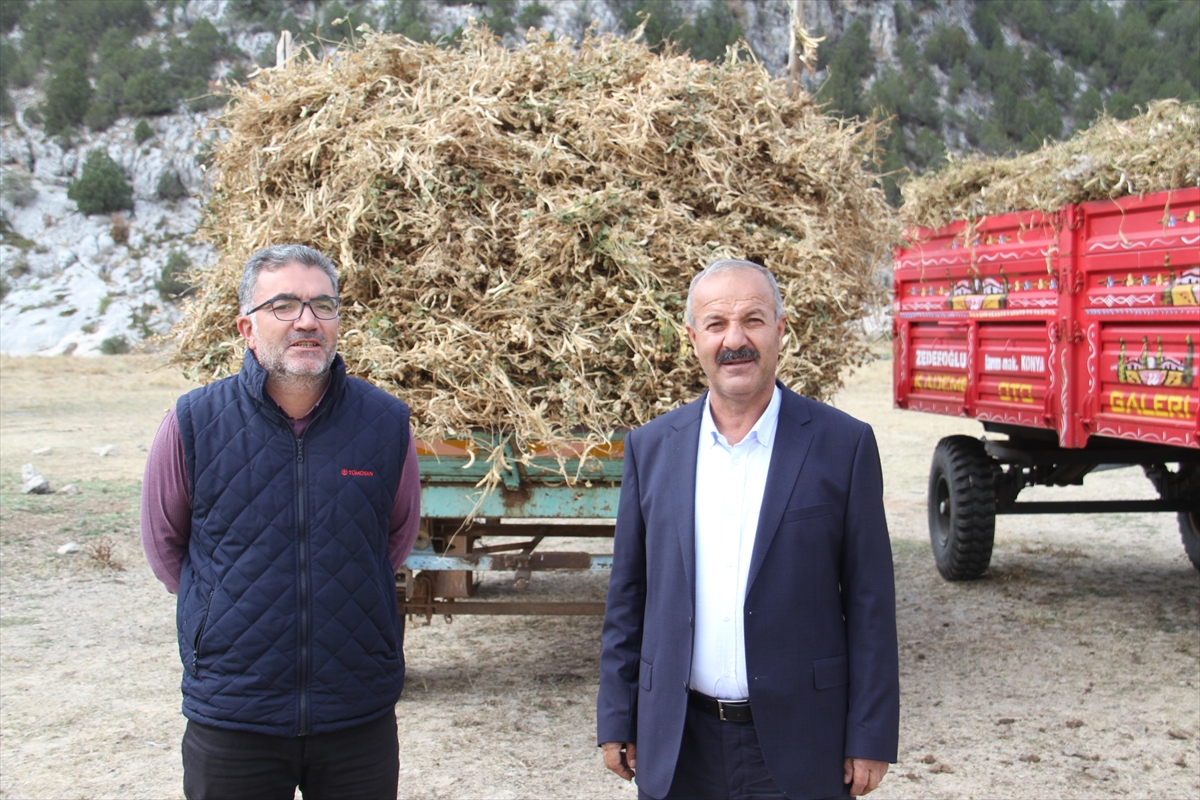 gecen-yil-urunlerini-satamayan-derebucak-ciftcisi-dermason-kuru-fasulyeye-yoneldi-2.jpg