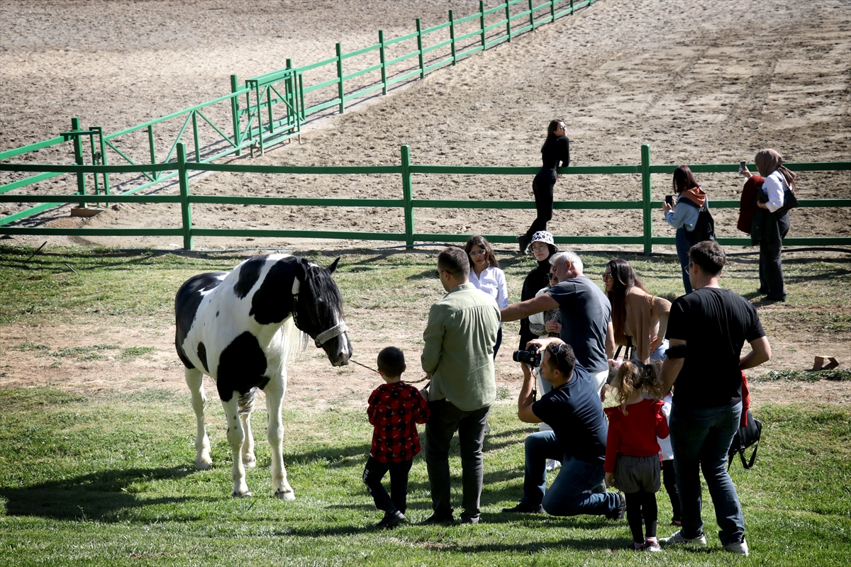 konyada-pandemiyle-beraber-binicilik-sporuna-talep-katlandi-11.jpg