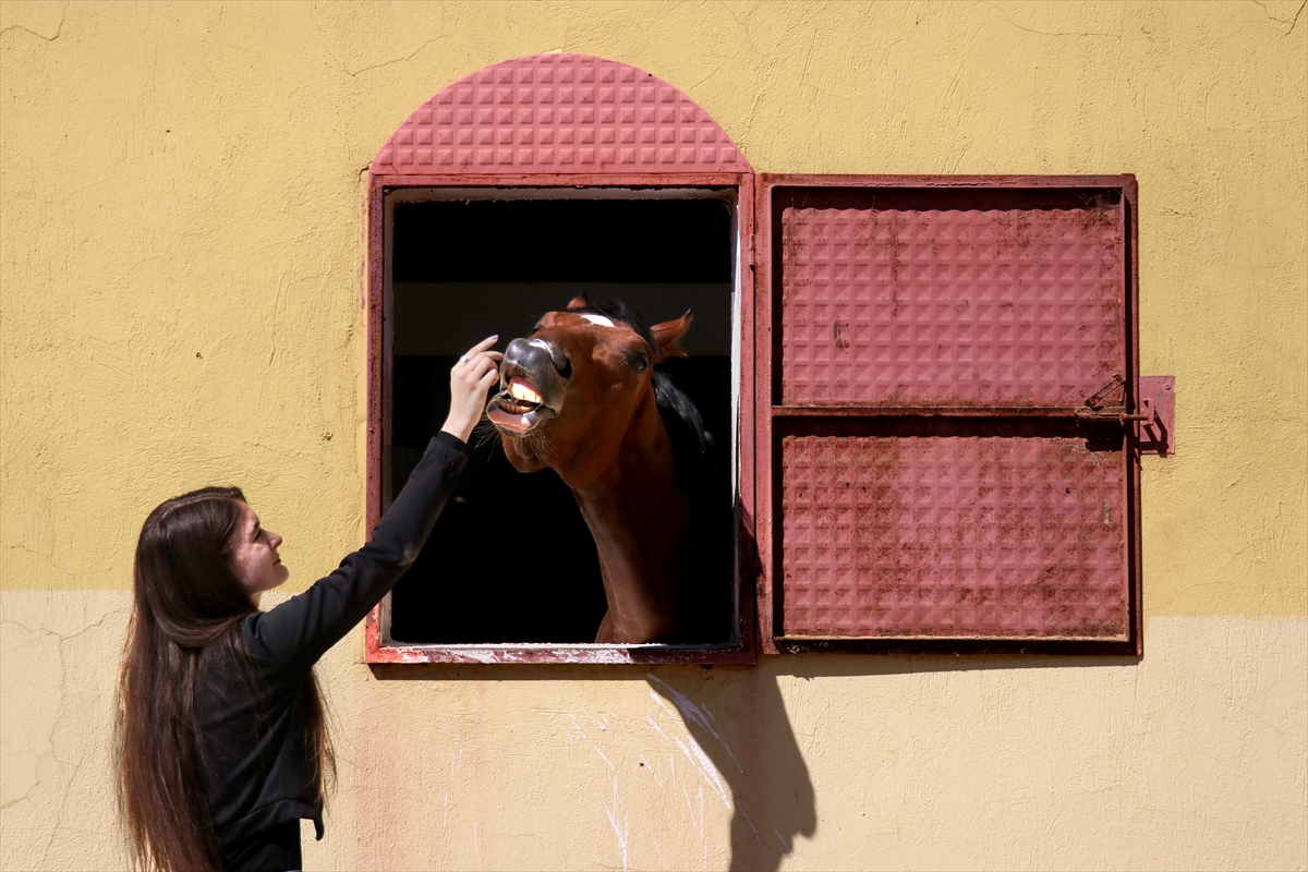 konyada-pandemiyle-beraber-binicilik-sporuna-talep-katlandi-12.jpg