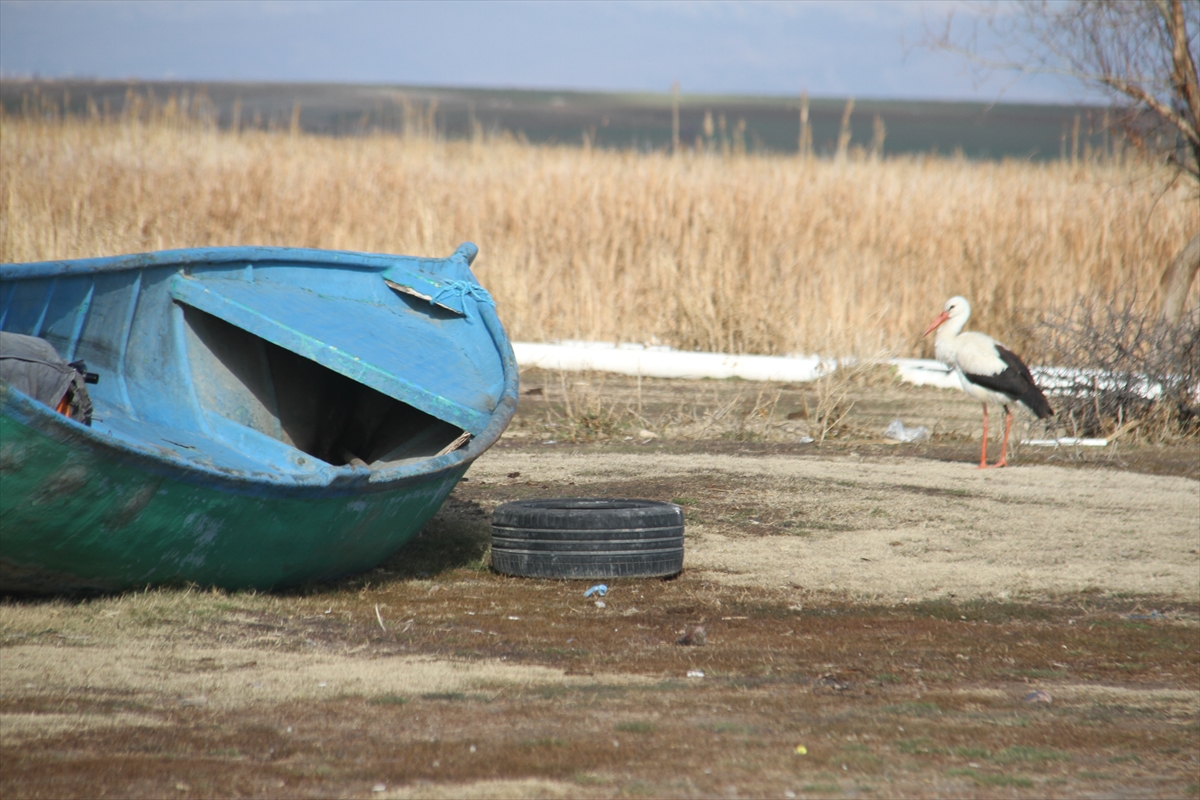 gocu-kaciran-leylek-konyada-teknelerin-yolunu-gozluyor-6.jpg