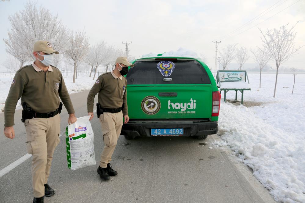 konyada-hayvanlari-koruma-polisleri-bin-45-ihbara-cevap-verdi-2.jpg