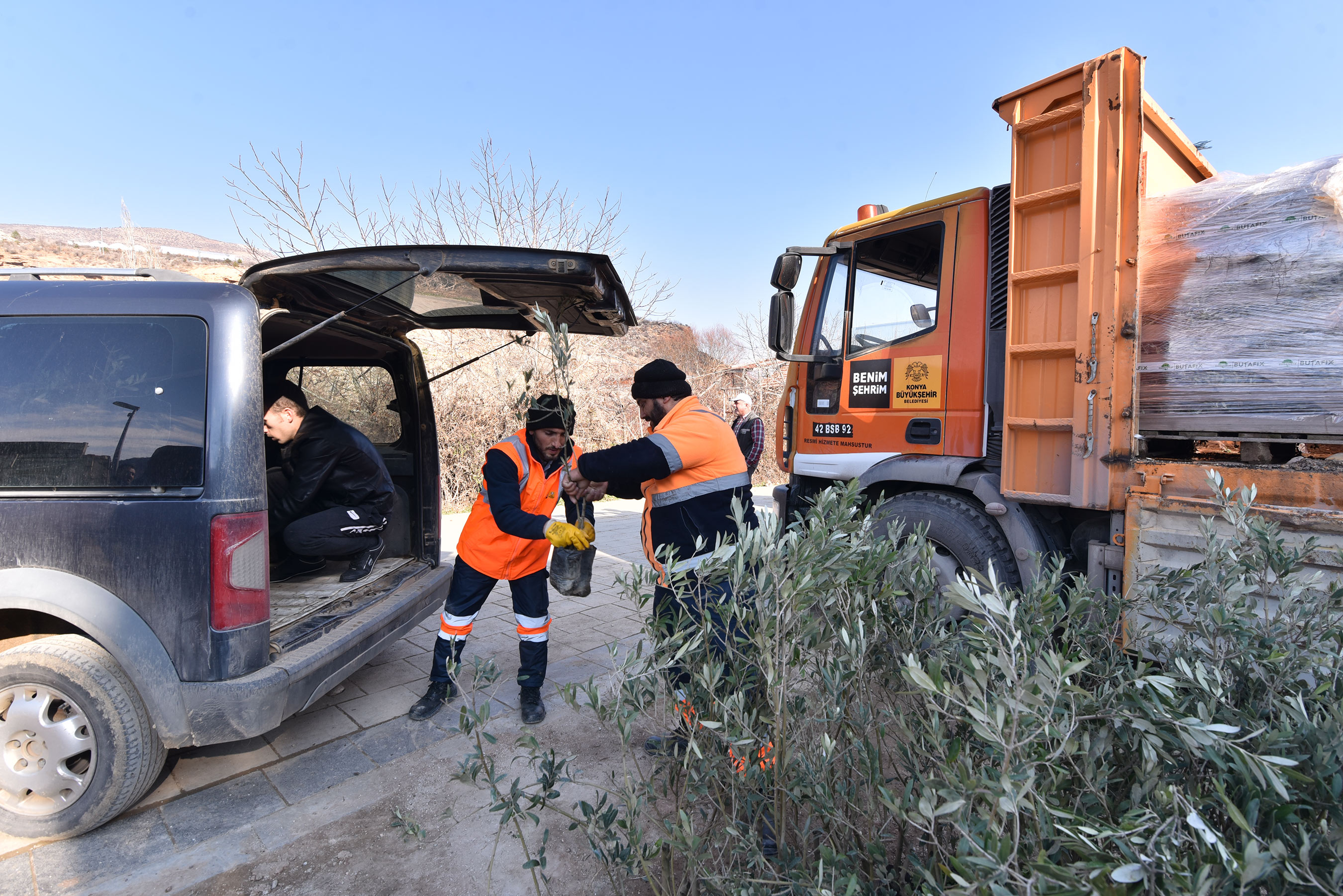 tahil-ambari-konyada-zeytin-uretimi-icin-tarihi-adim-1.jpg