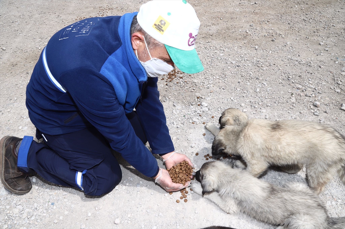 konya-buyuksehirden-hayvan-basina-her-ay-150-lira-destek-2.jpg