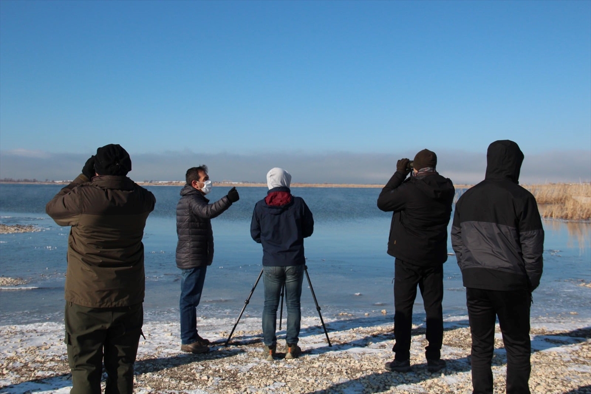 beysehir-golunde-en-cok-gozlenen-kus-turleri-belli-oldu-6.jpg