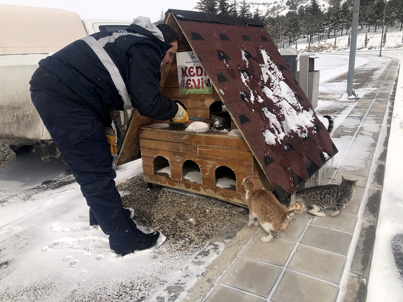 selcuklu-belediyesinden-yogun-karda-dilsiz-dostlara-destek-6.jpg