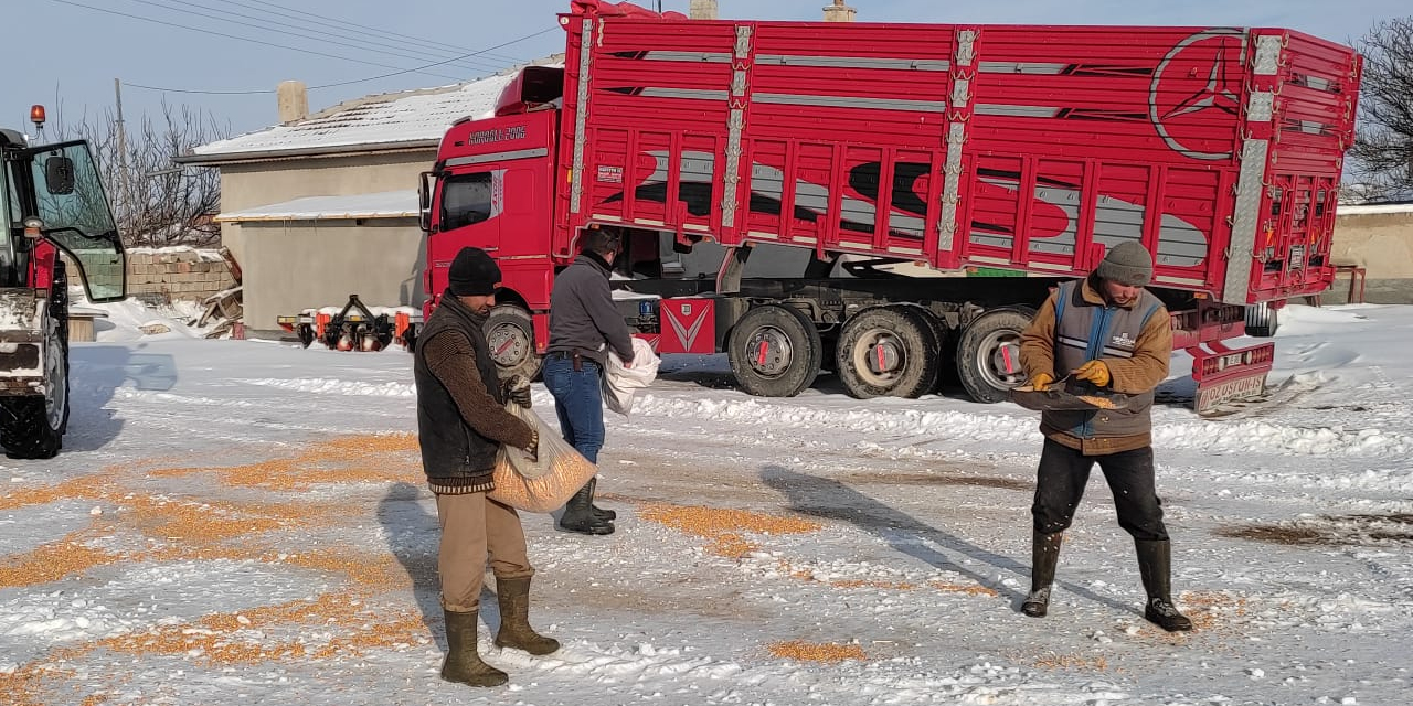 konyali-muhtar-nuri-koroglu-yiyecek-bulamayan-kuslar-icin-seferber-oldu-1.jpg