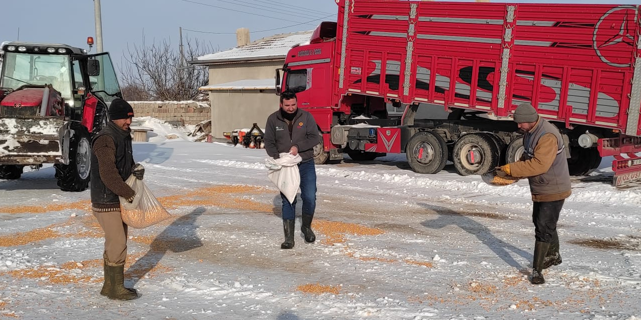 konyali-muhtar-nuri-koroglu-yiyecek-bulamayan-kuslar-icin-seferber-oldu.jpg