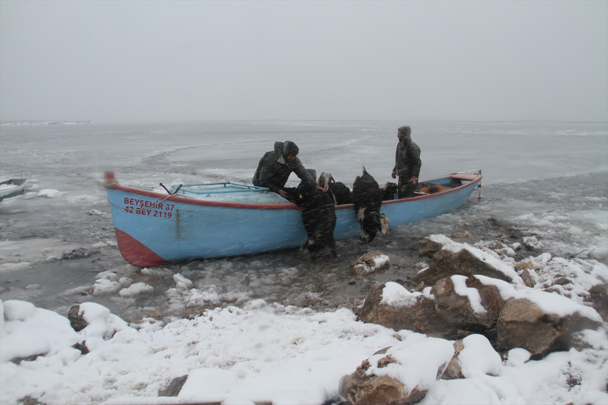 yer-konya-adada-mahsur-kalan-kucukbas-hayvanlar-teknelerle-kurtarildi-10.jpg