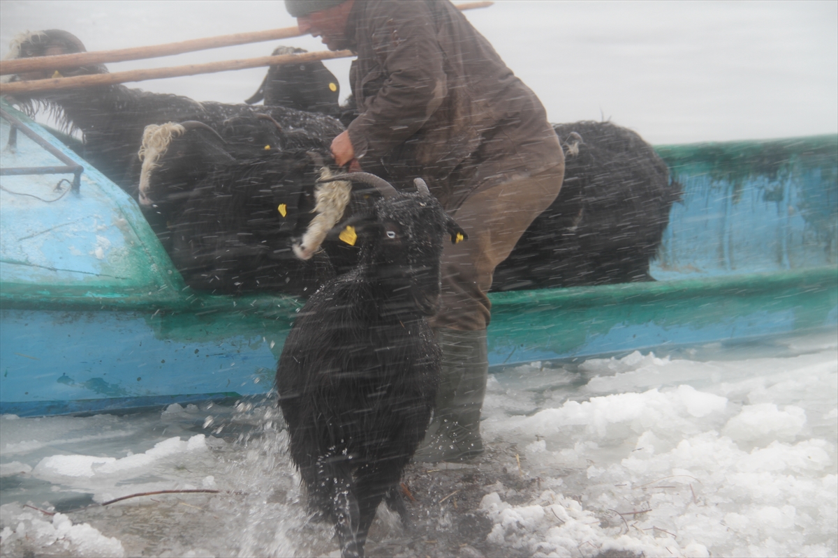 yer-konya-adada-mahsur-kalan-kucukbas-hayvanlar-teknelerle-kurtarildi-9.jpg