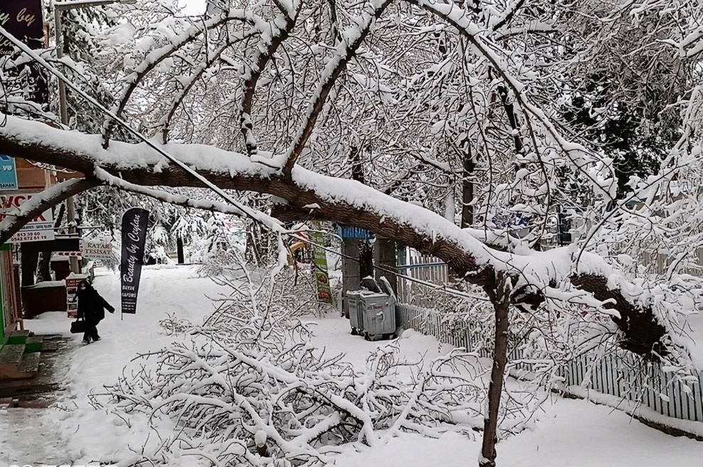 kar-kalinligi-32-santimetreyi-buldu-bircok-agac-devrildi-001.jpg