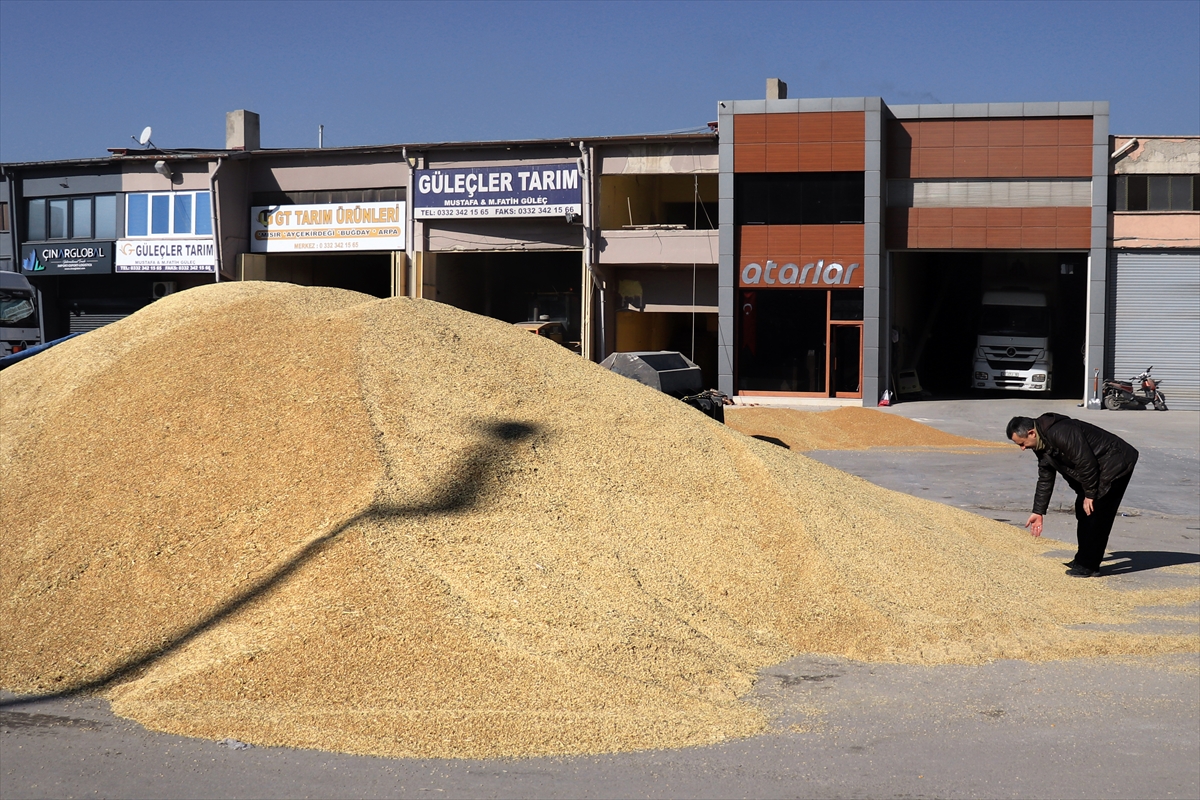 konya-ovasi-turkiyenin-sertifikali-tohum-uretiminin-yuzde-28ini-karsiliyor-004.jpg