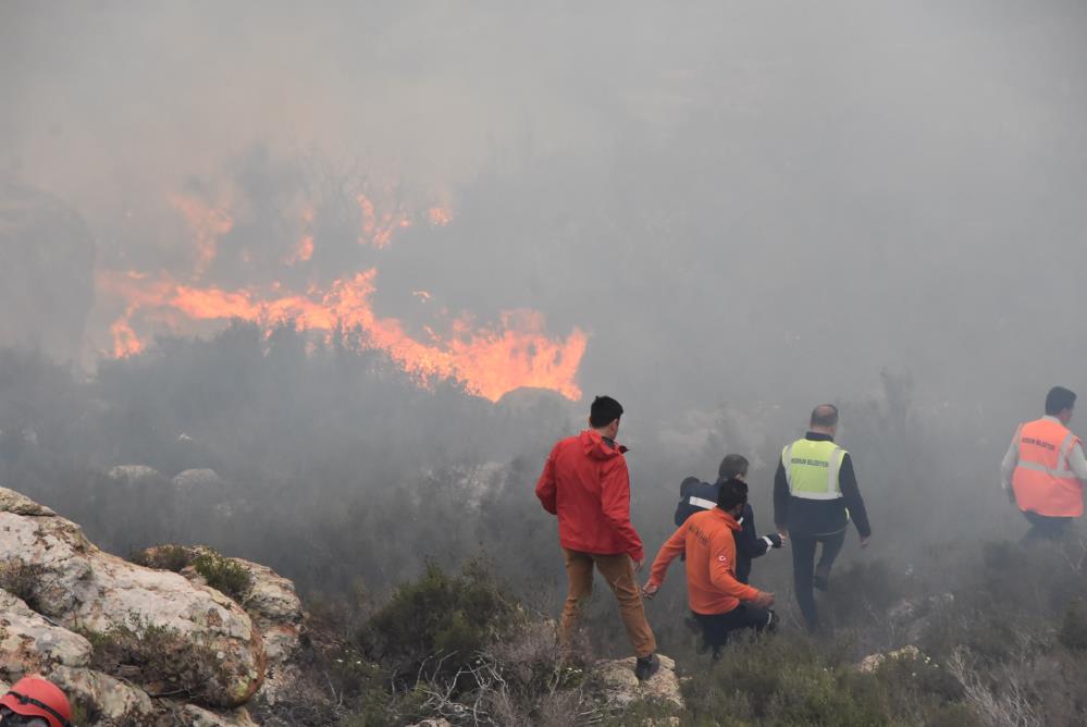 orman-yangini-alevler-makilik-alana-ve-zeytin-agaclarina-sicradi-004.jpg