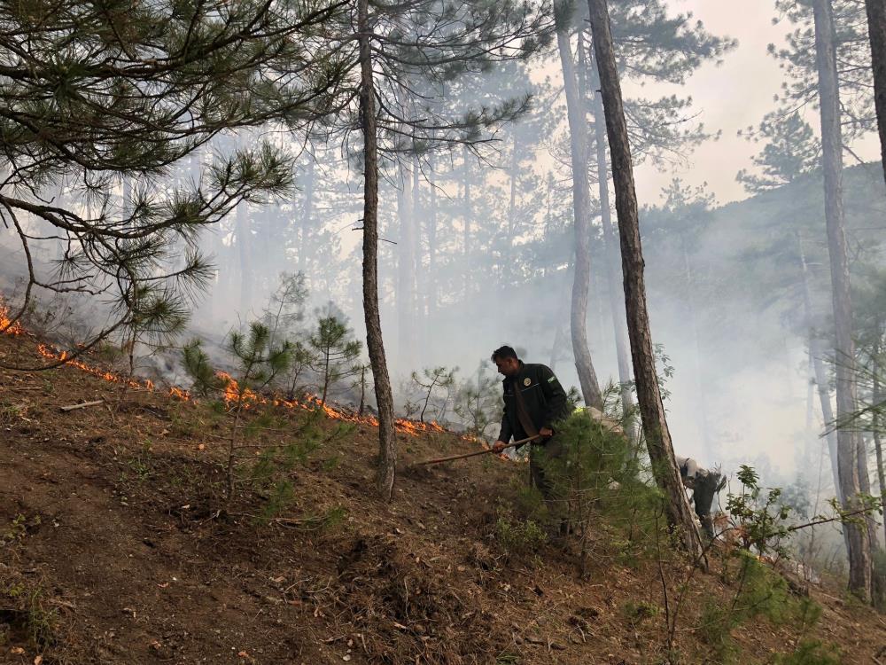 akli-dengesi-yerinde-olmayan-bir-kisi-ormanlik-alani-atese-verdi.jpg
