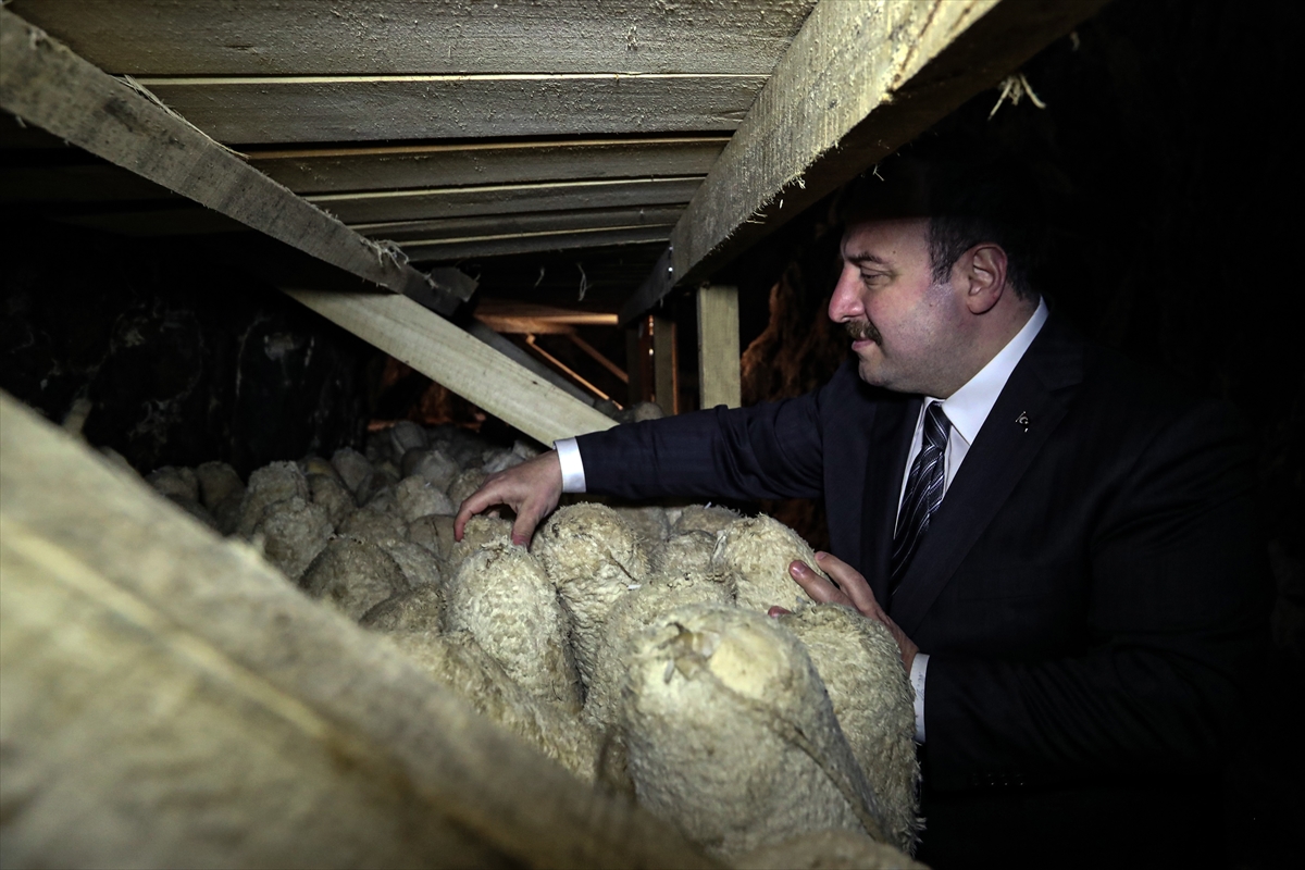 bakan-varank-turk-rokforu-peynirinin-uretildigi-magarada-incelemelerde-bulundu-005.jpg