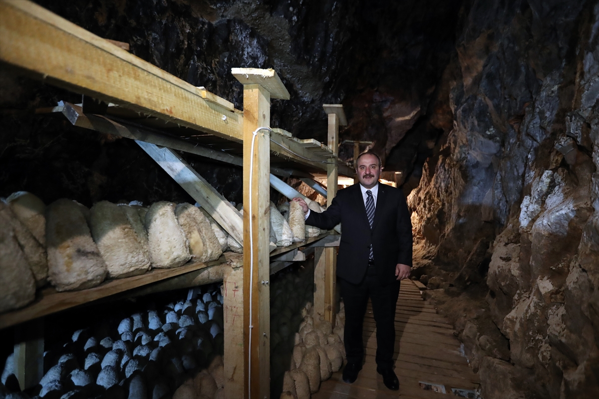 bakan-varank-turk-rokforu-peynirinin-uretildigi-magarada-incelemelerde-bulundu.jpg