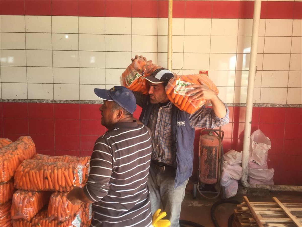 turkiyenin-havuc-ihtiyacinin-yuzde-57sini-konya-karsiliyor-002.jpg