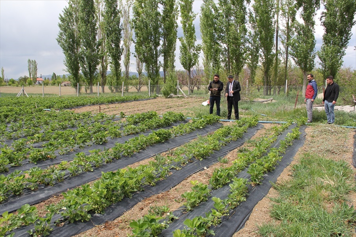 yalihuyuk-kaymakami-ibrahim-yazici-tarim-ureticilerini-ziyaret-etti.jpg