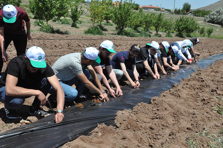 gelecegin-ziraat-muhendisleri-uygulama-bahcelerinde-yetisiyor.jpg
