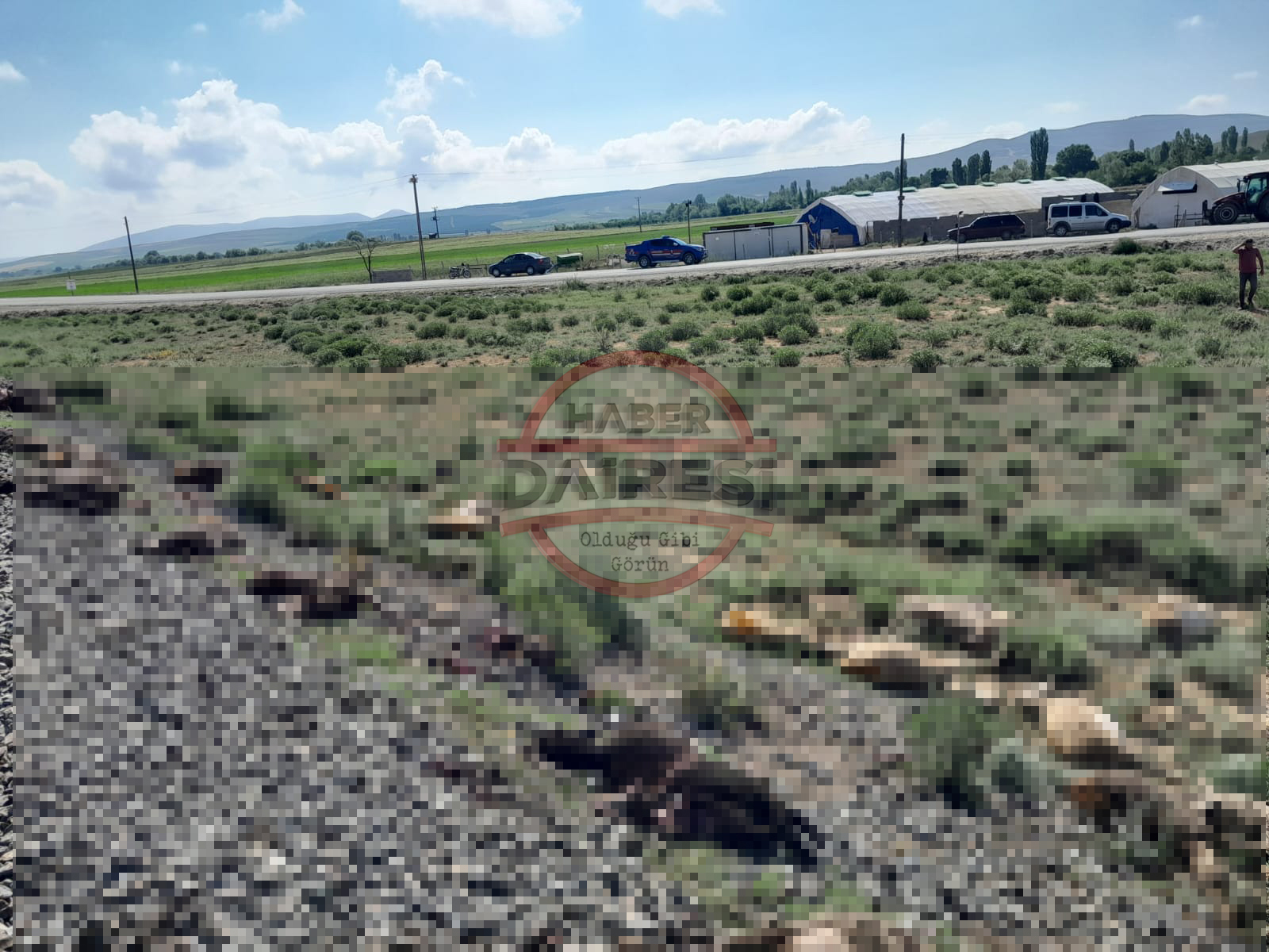 son-dakika-konyada-tren-suruye-daldi-130-hayvan-telef-oldu.jpg
