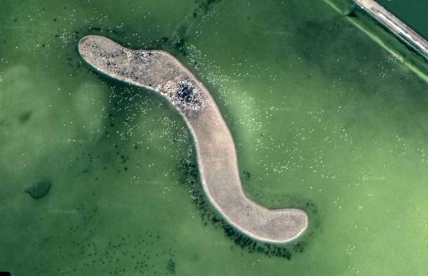 google-earthten-flamingo-gozlemi-002.jpg