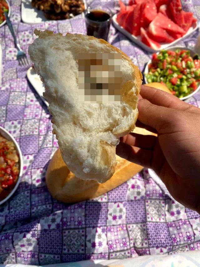 ailesiyle-gittigi-piknik-zehir-oldu-boldugu-ekmegin-icinden-cikan-sok-etti-001.jpeg