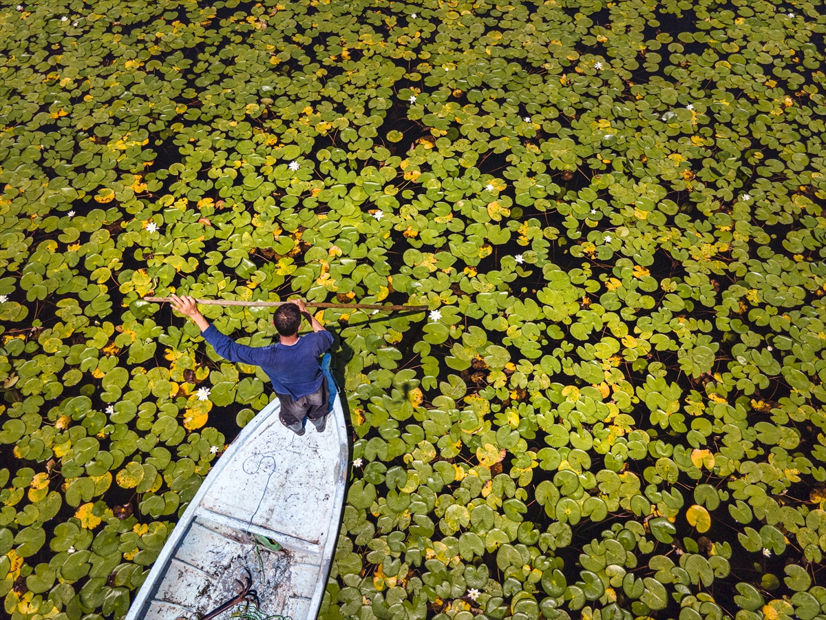 beysehir-golu-yuzeyinde-acan-niluferler-ziyaretcilerin-ilgisini-cekiyor-006.jpg