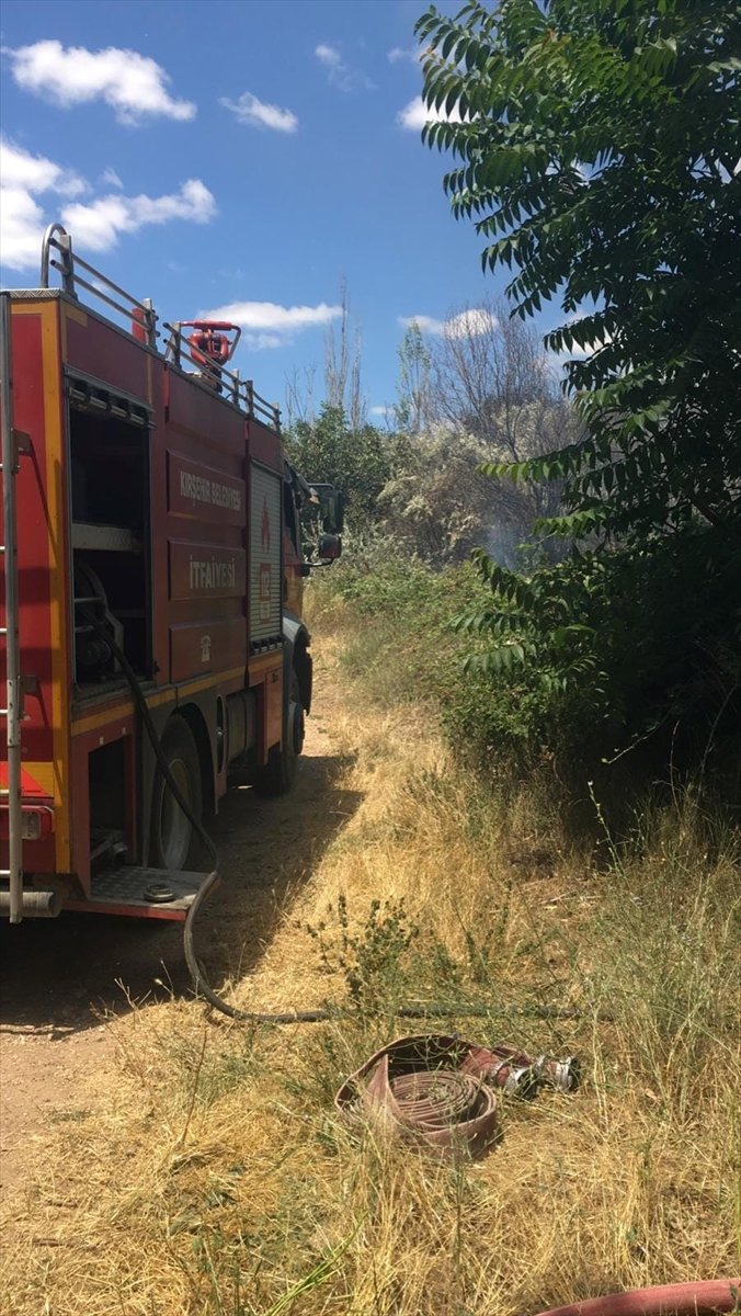 Meyve bahçesi çıkan yangında büyük hasar gördü