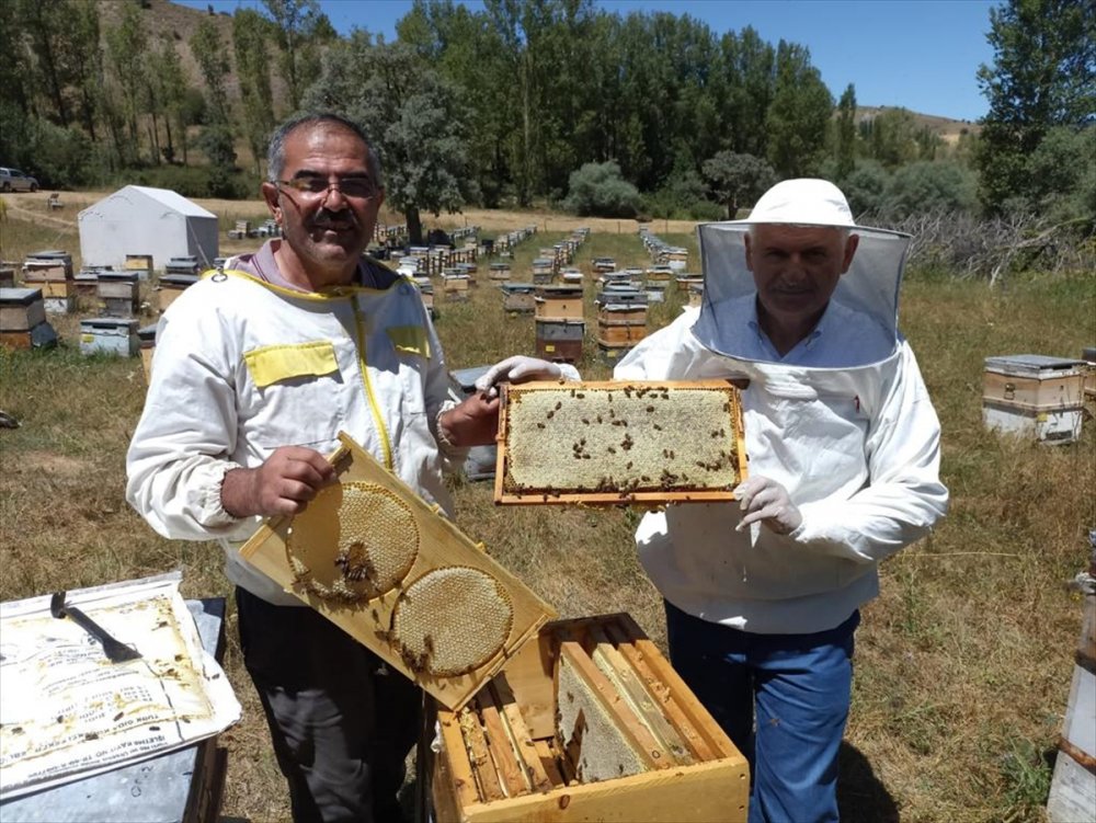 Binali Yıldırım Erzincan'da bal hasadı yaptı