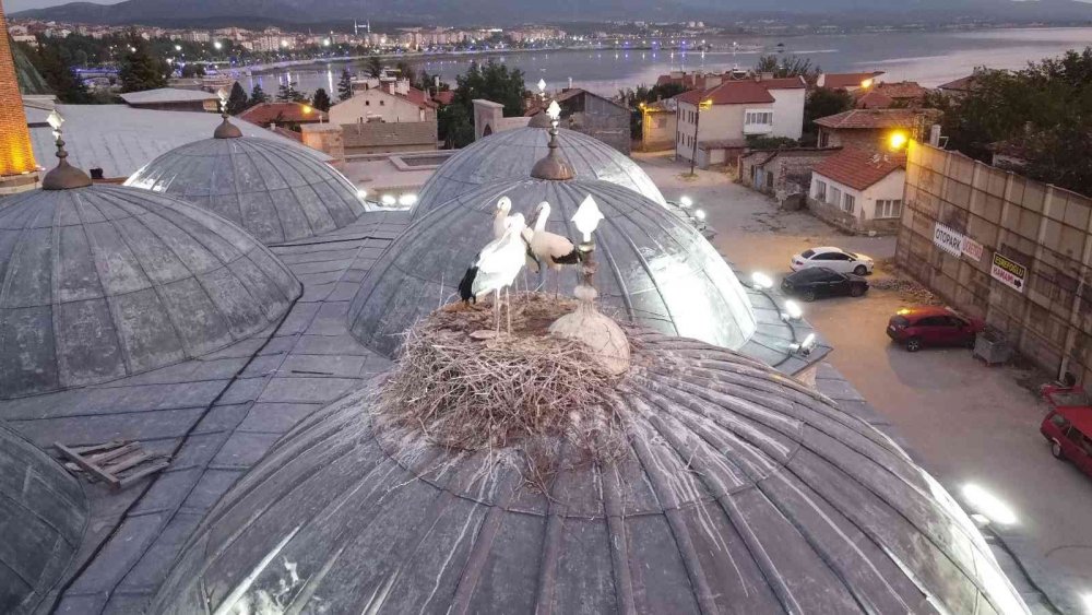 Konya'nın 723 yıllık camisindeki leylek yuvası ilgi odağı oldu