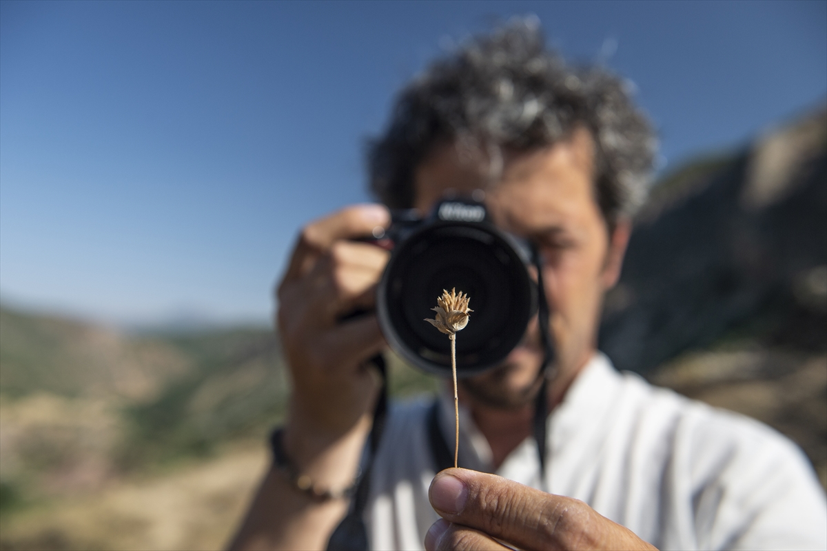 konyada-yasayan-akademisyen-daglari-karis-karis-gezerek-bitki-turlerini-arastiriyor-001.jpg