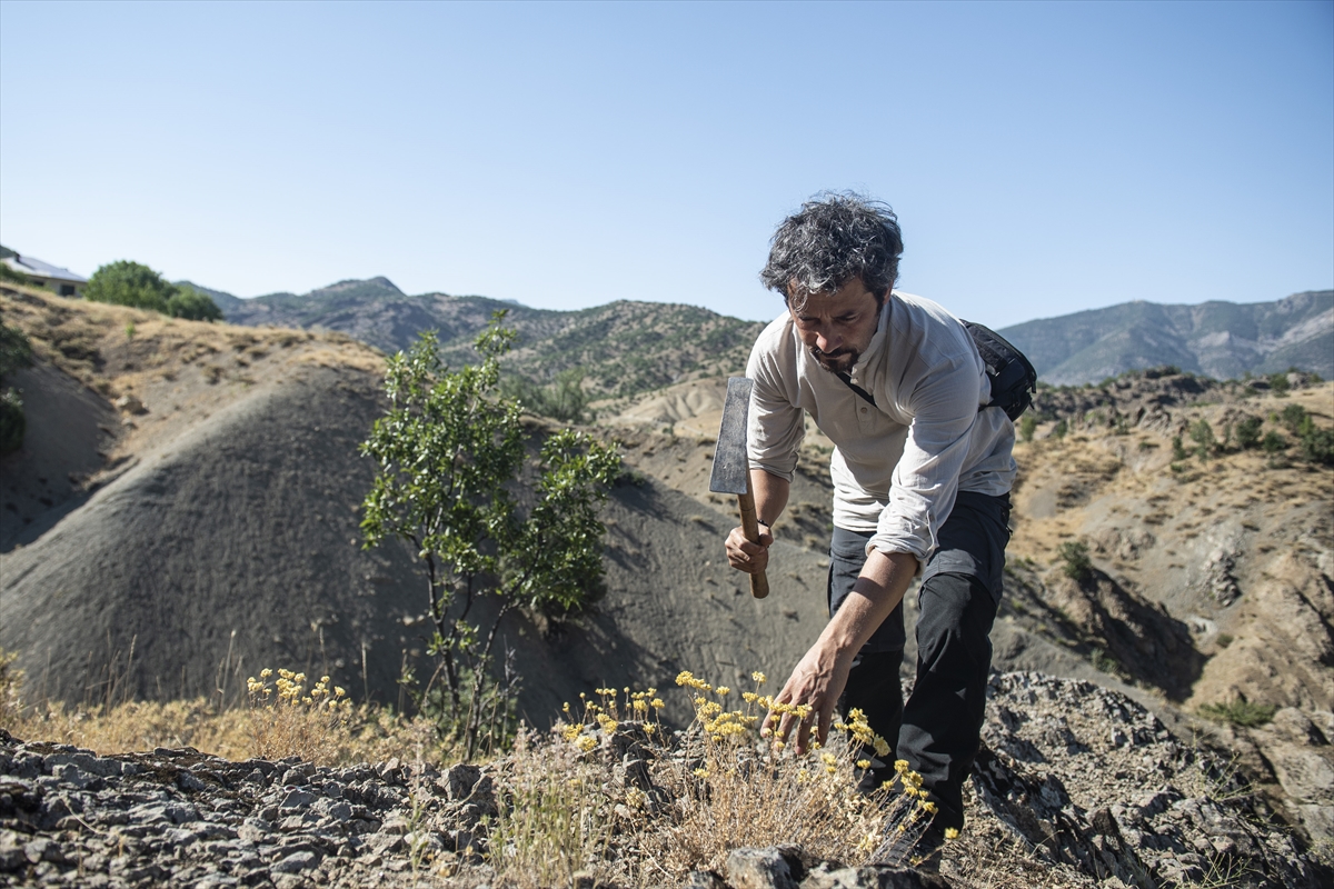 konyada-yasayan-akademisyen-daglari-karis-karis-gezerek-bitki-turlerini-arastiriyor.jpg