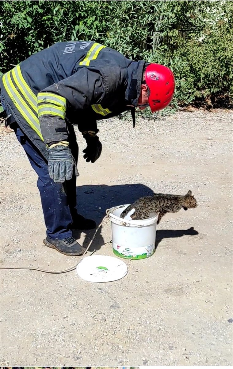 Konya'da kuyuya düşen kedi boya kutusu yardımıyla kurtarıldı