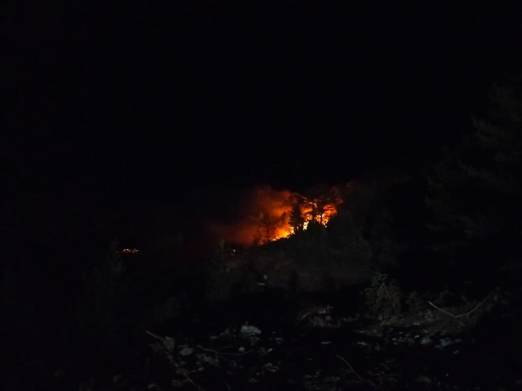 son-dakika-konyada-ormanlik-alanda-yangin-cikti-001.jpeg