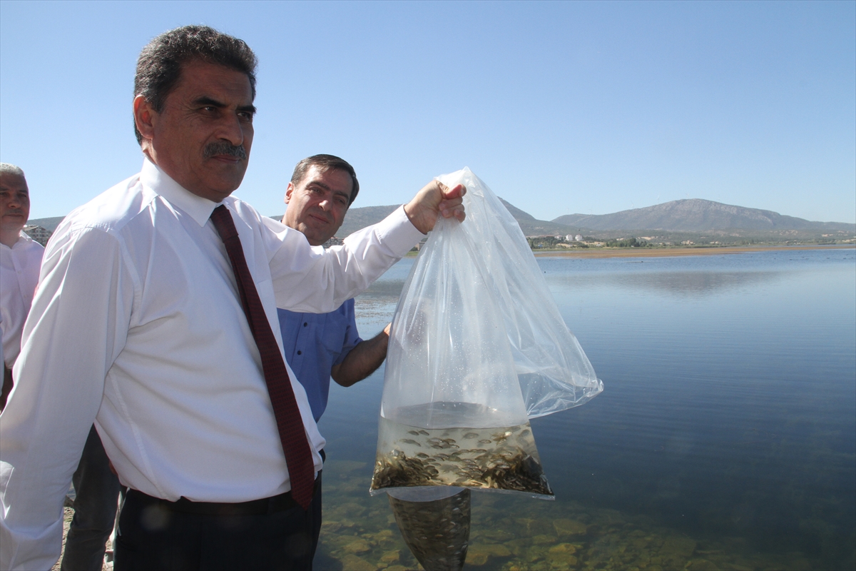 2-milyon-630-bin-sazan-yavrusu-konyadaki-gol-ve-goletlere-salindi-002.jpg