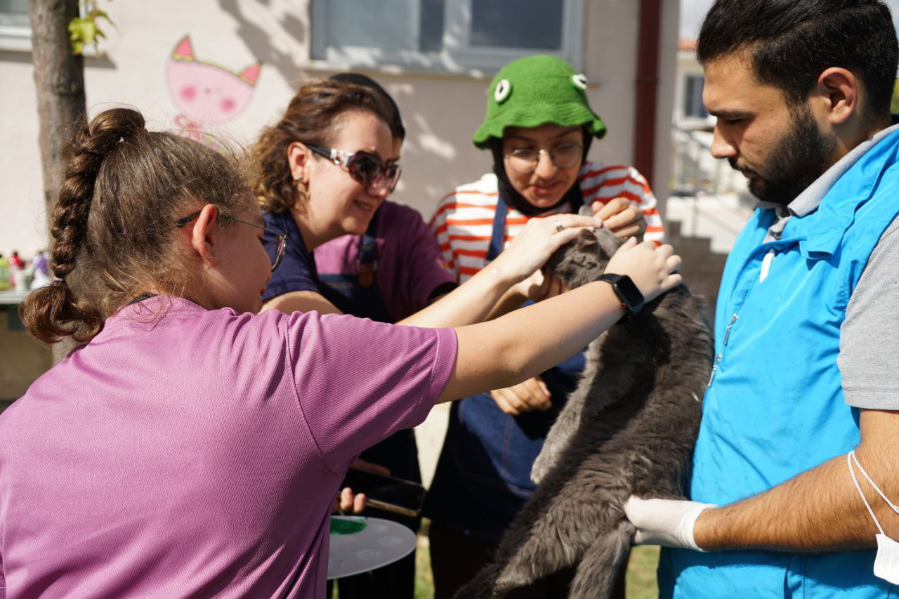 genc-komek-ogrencileri-buyuksehir-hayvan-bakimevini-renklendirdi-002.jpg