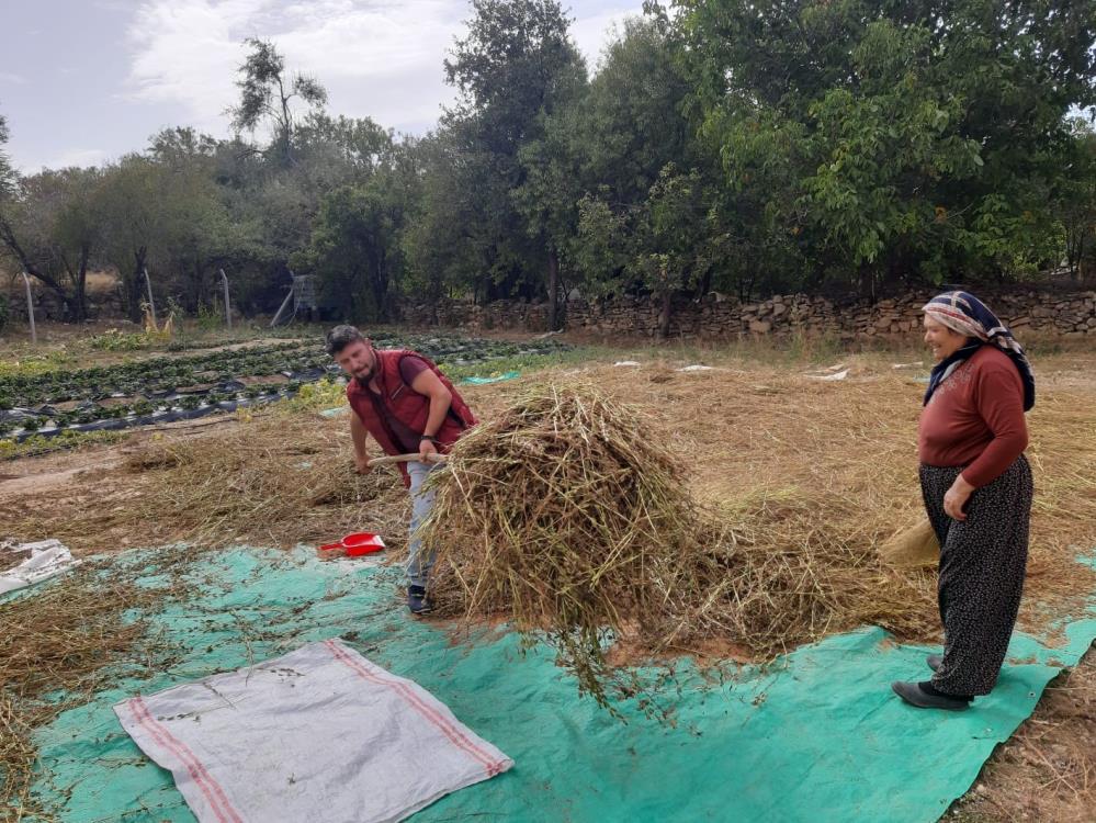 konyanin-bu-mahallesinde-ekilen-urun-ureticinin-ek-gelir-kaynagi-oldu.jpg