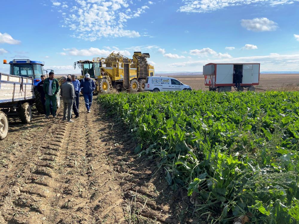 konya-ovasinda-seker-pancari-hasadi-basladi-001.jpg