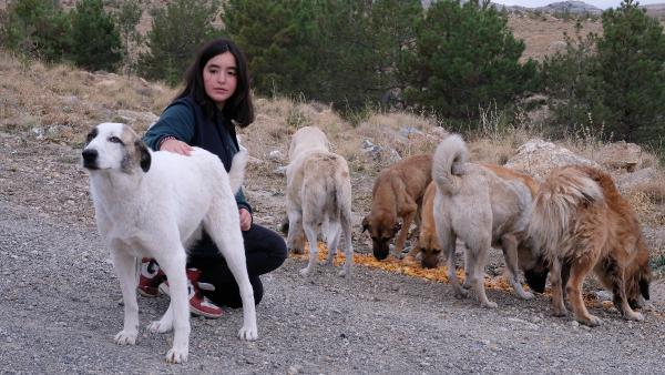 konyada-lise-ogrencisi-genc-kiz-sokak-hayvanlarina-hayat-oldu.jpg