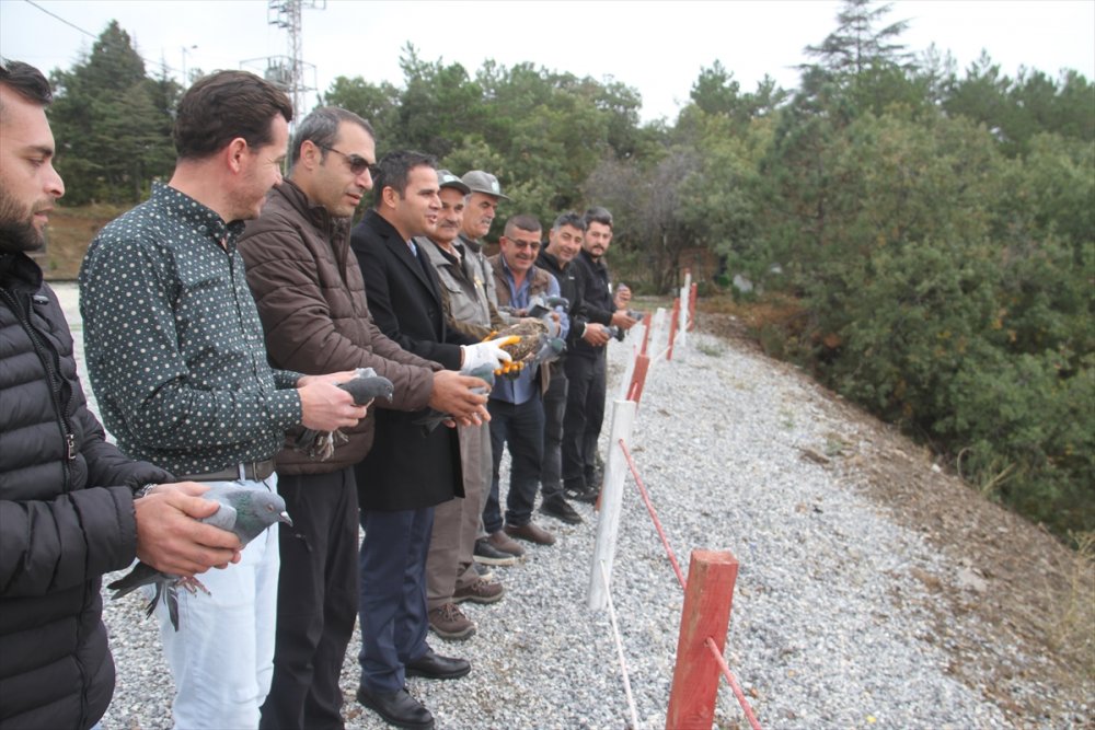 Konya'da 12 kaya güvercini ve şahin doğaya bırakıldı