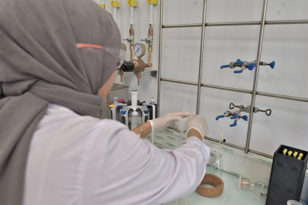 Konya'daki bir üniversitede tüp bebek ve kök hücre çalışması atağı başladı