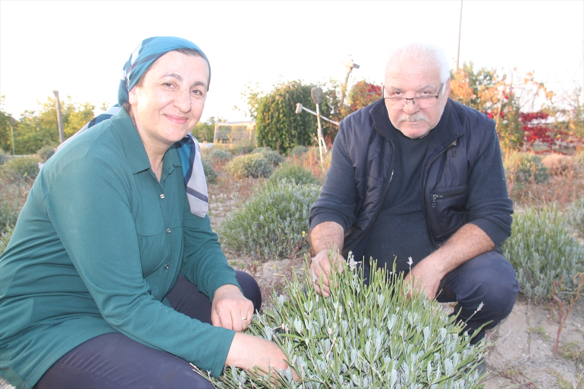 konyali-ismail-ogutcu-esiyle-el-ele-verdi-emeli-olduktan-sonra-lavanta-bahcesi-olusturdu-002.jpg