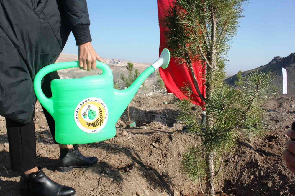 Türkiye Yüzyılına Nefes için Konya’da 70 bin fidan toprakla buluştu