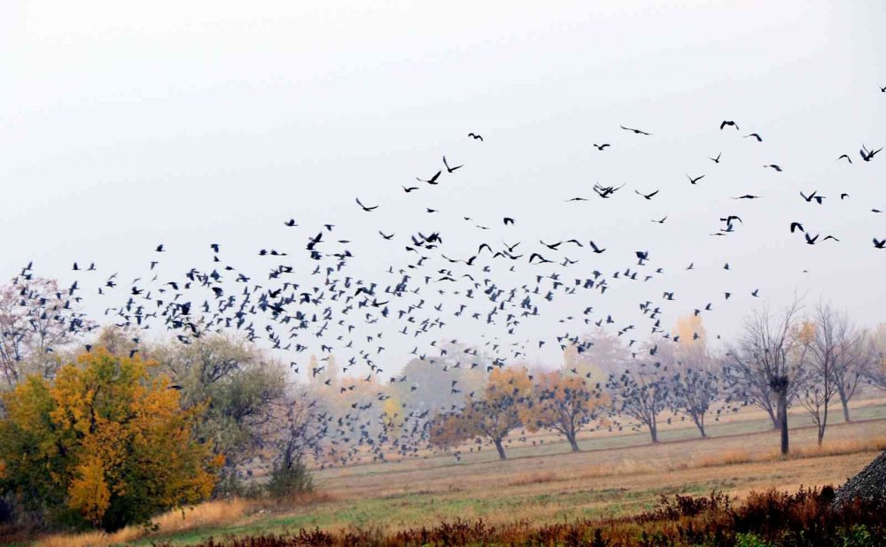 Doğu’da sis ve pus etkili oldu