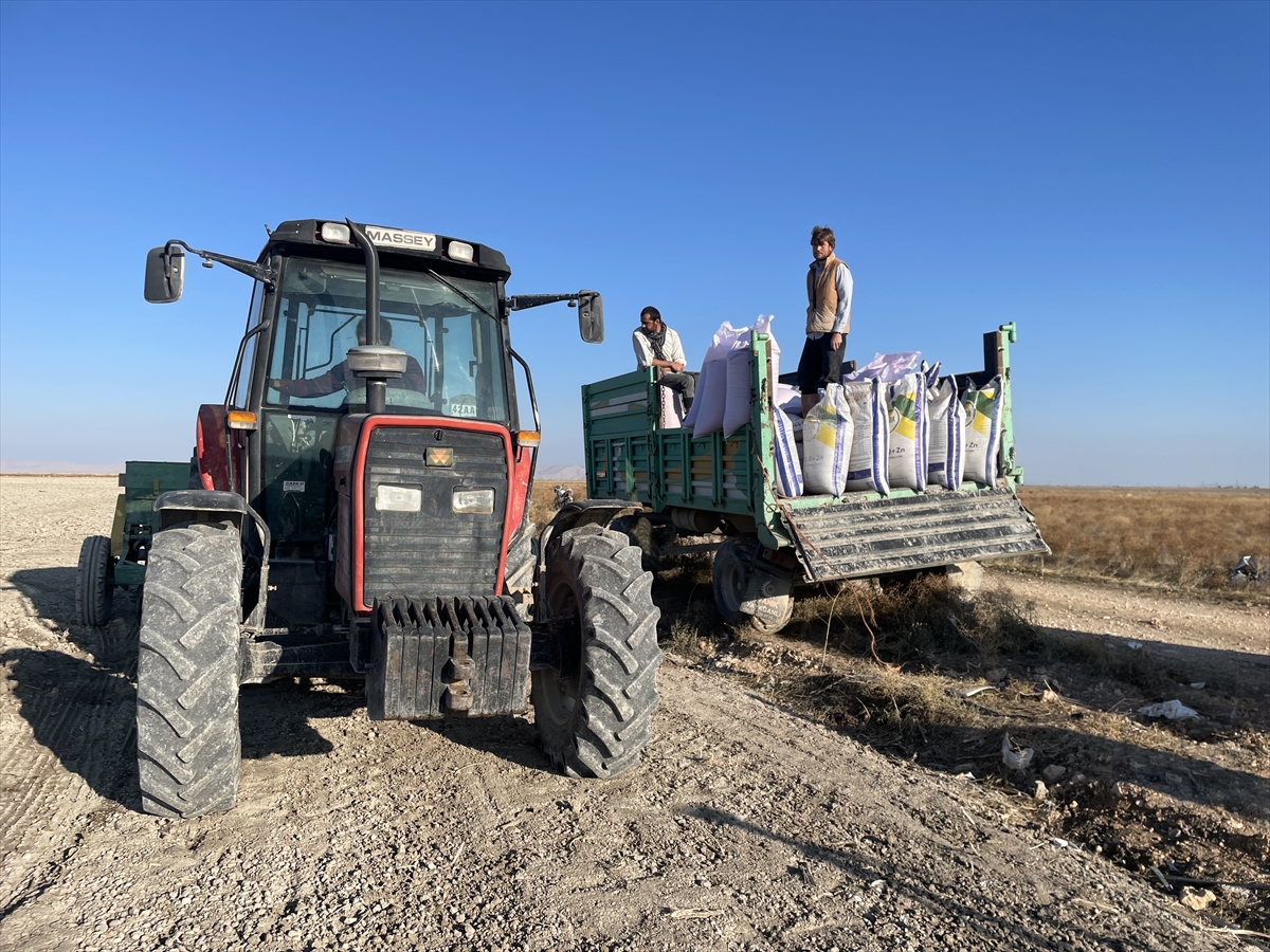 konya-ovasinda-hububatta-rekolte-artti-mi-ciftciler-verimden-memnun-mu-003.jpg