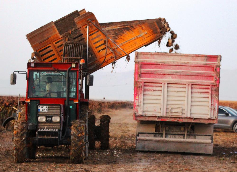 konya-ovasinda-seker-pancari-hasadi-suruyor-rekoltede-son-durum.jpg
