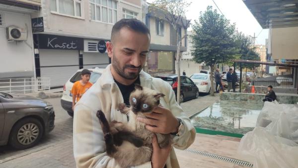 3uncu-kattan-dusen-kediyi-boyle-yakaladi.jpg
