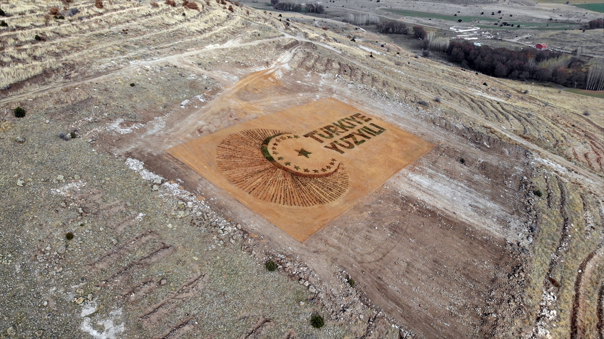 konyada-binlerce-fidanla-turkiye-yuzyili-logosu-olusturuldu-001.jpg